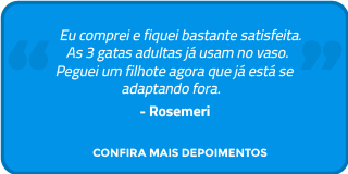 Confira os depoimentos