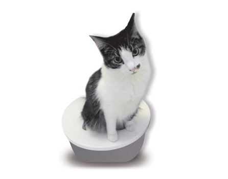 Gato sobre Gatoalete - Banheiro para gatos